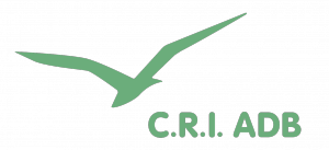 Logo du CRI-ADB